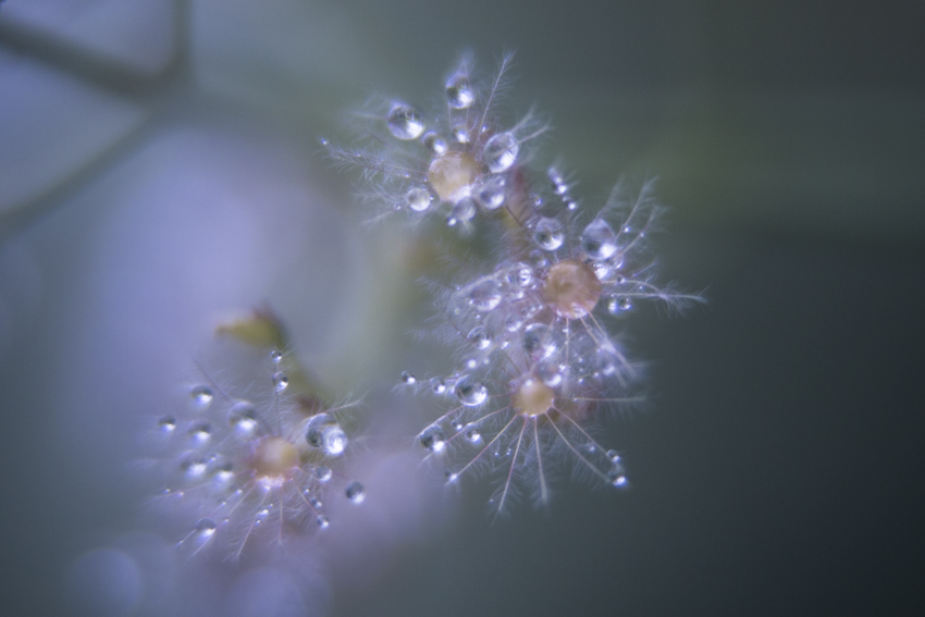 nach dem Regen