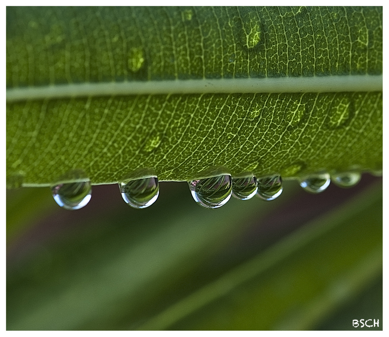 Nach dem Regen