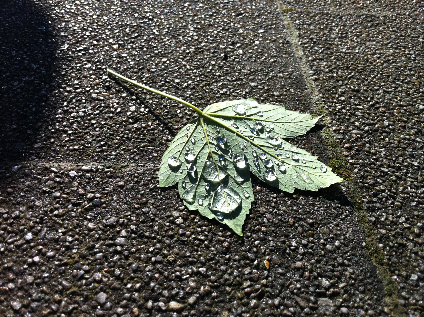 nach dem Regen