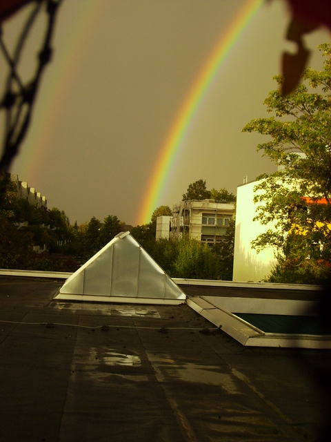 nach dem Regen