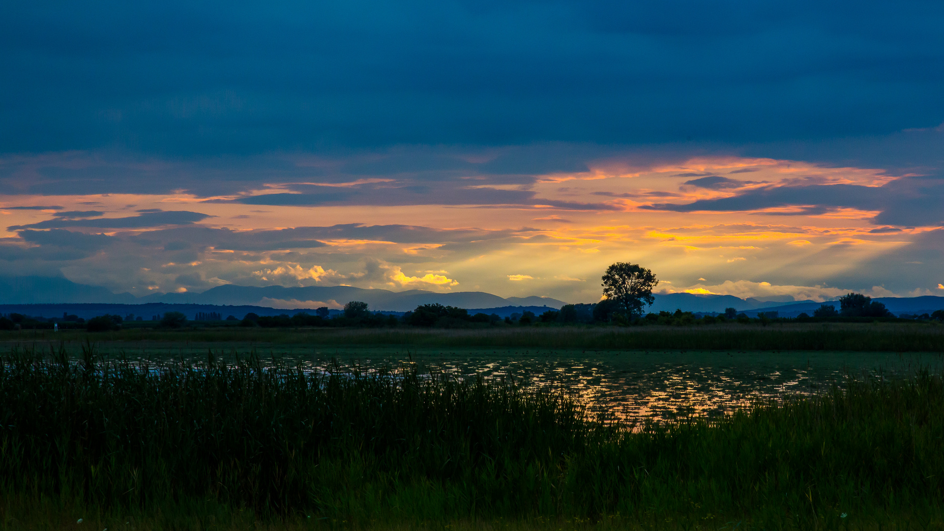 Nach dem Regen