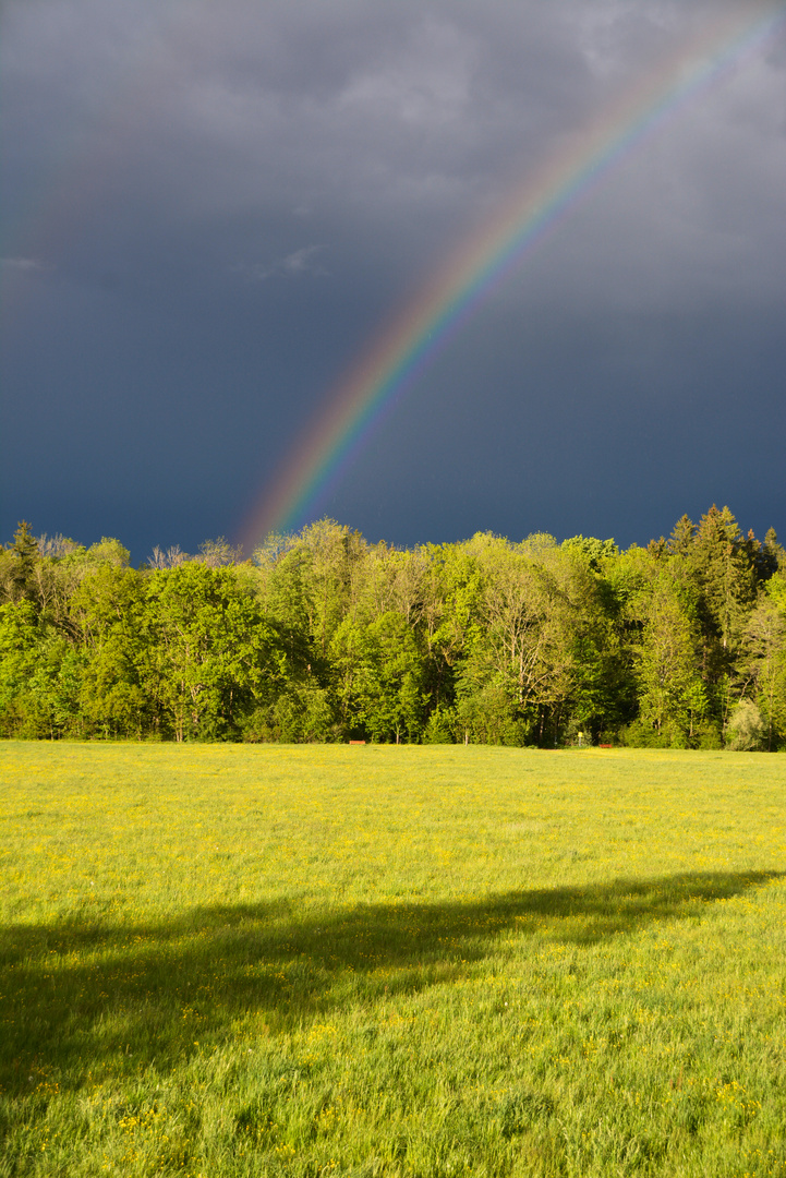 Nach dem Regen 1