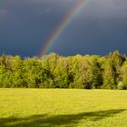 Nach dem Regen 1