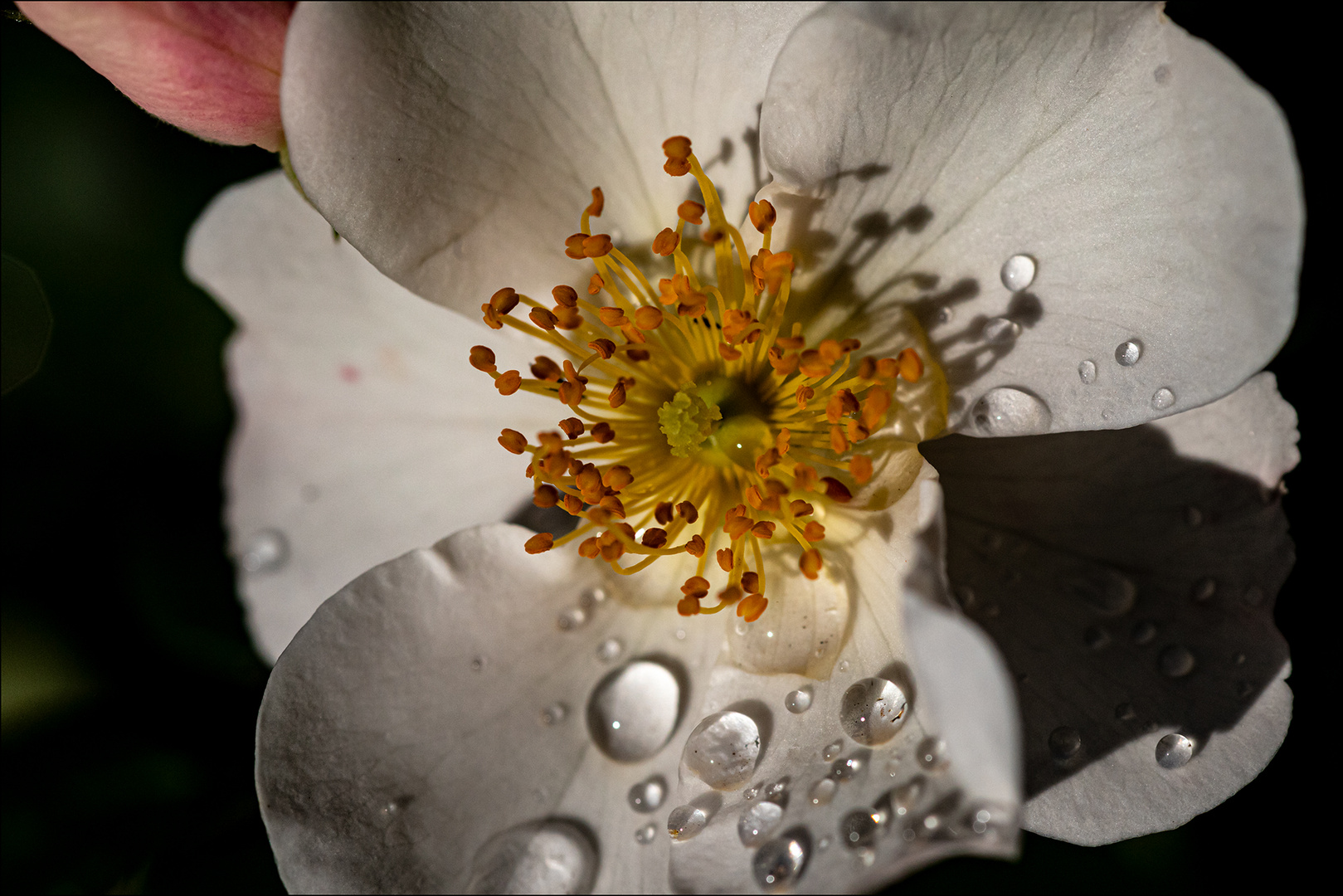 Nach dem Regen 1