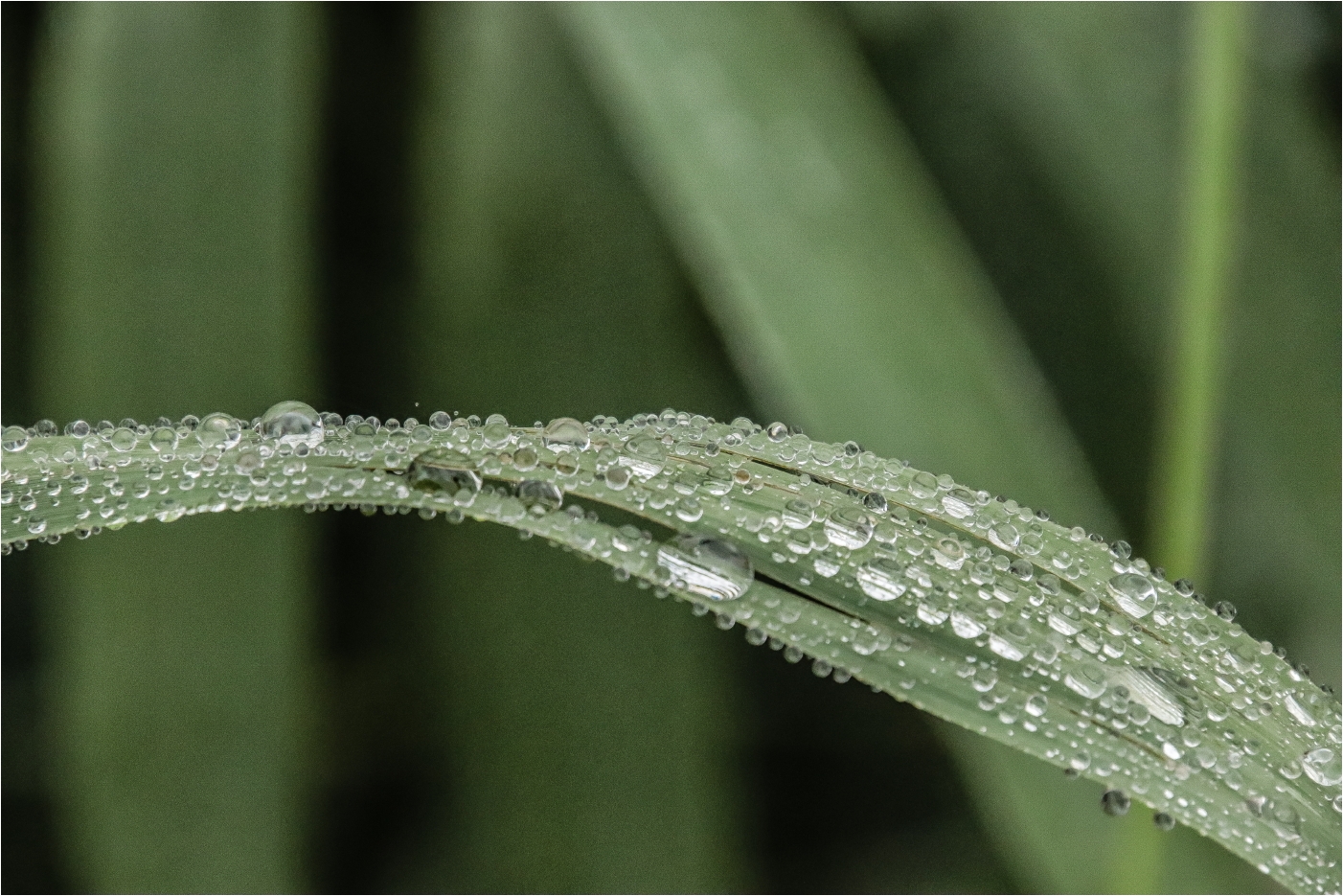 Nach dem Regen 1