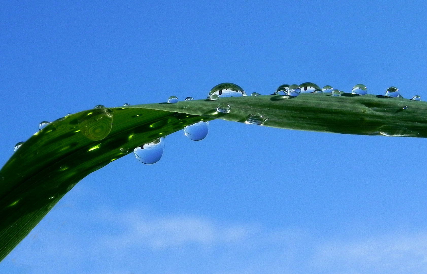 Nach dem Regen (1)