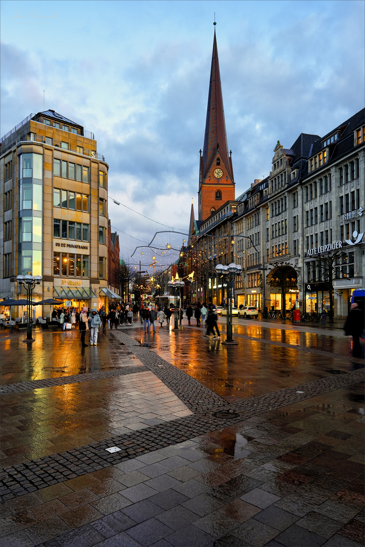 Nach dem Regen (1)