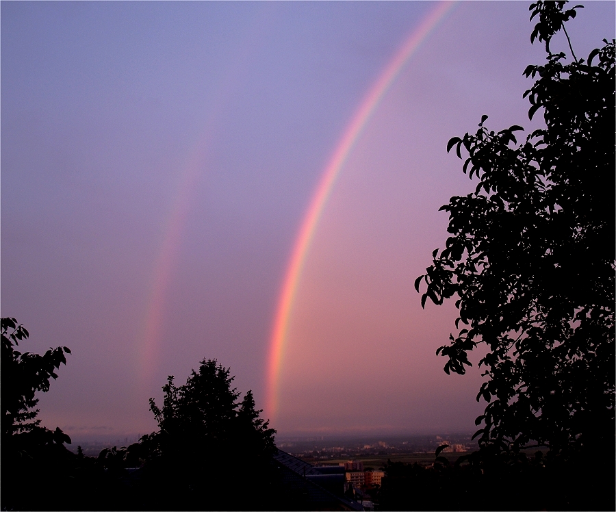 Nach dem Regen...