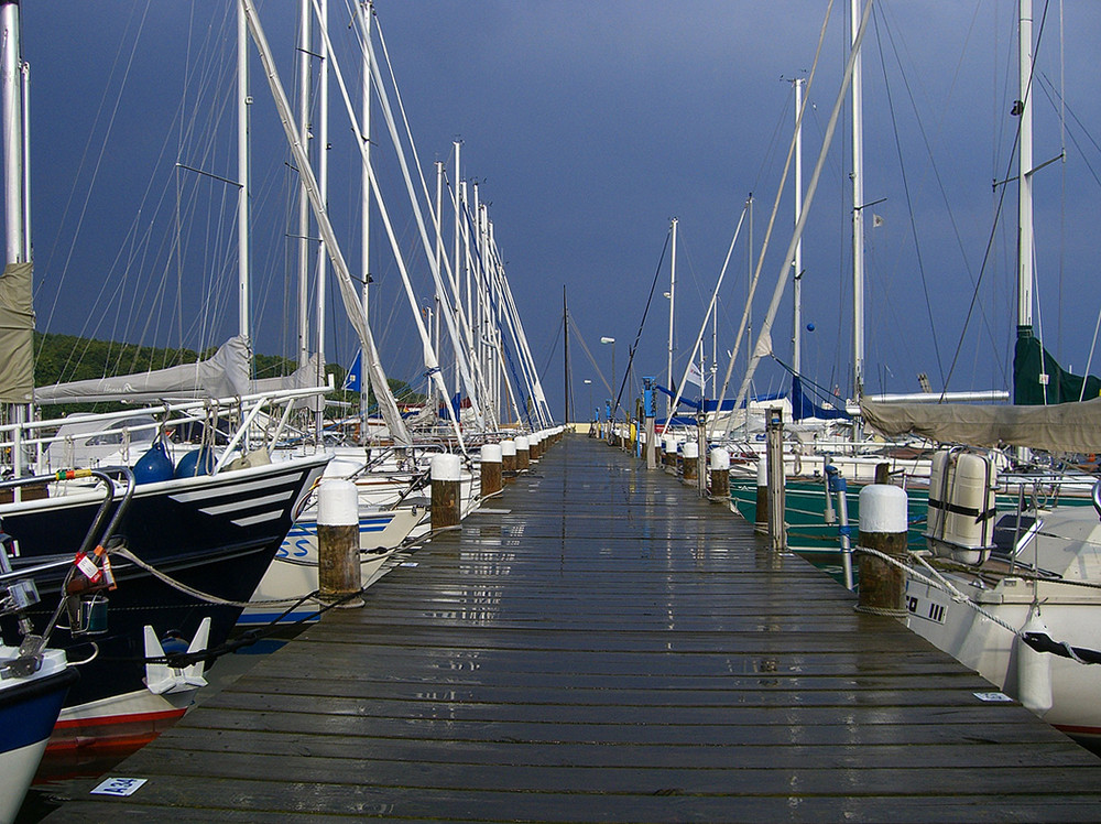 Nach dem Regen