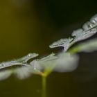 nach dem Regen