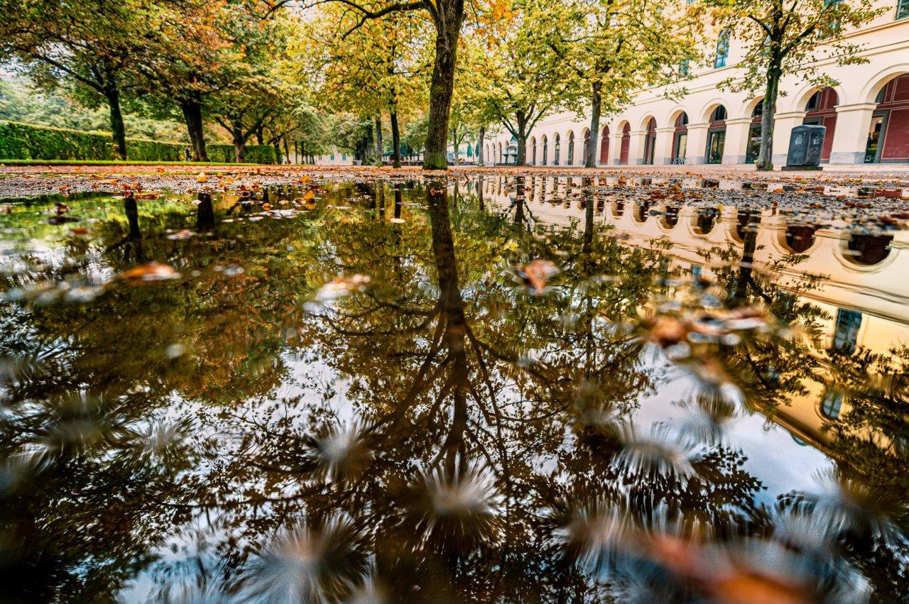 Nach dem Regen