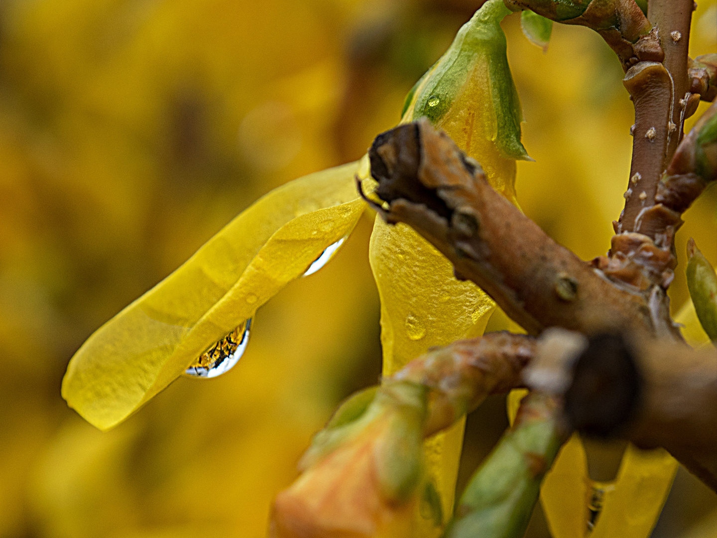 Nach dem Regen