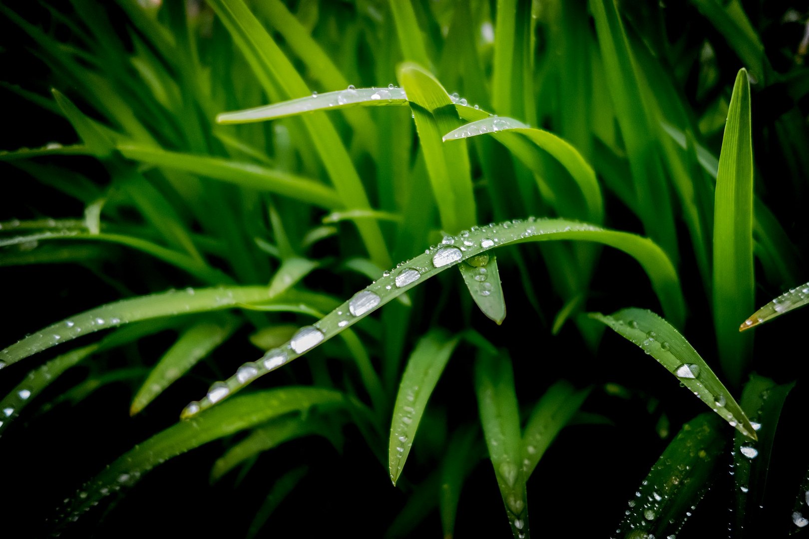 Nach dem Regen