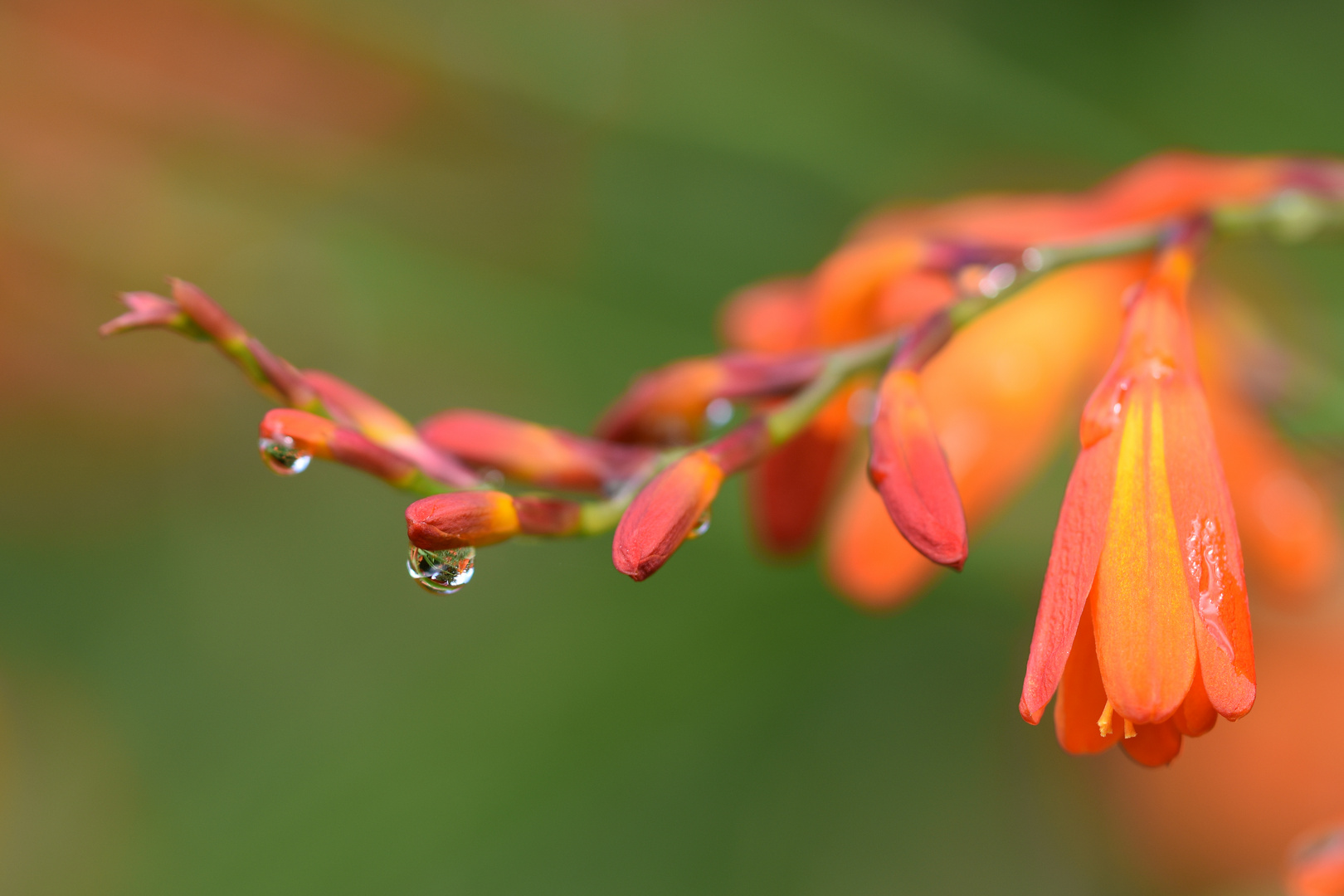 Nach dem Regen