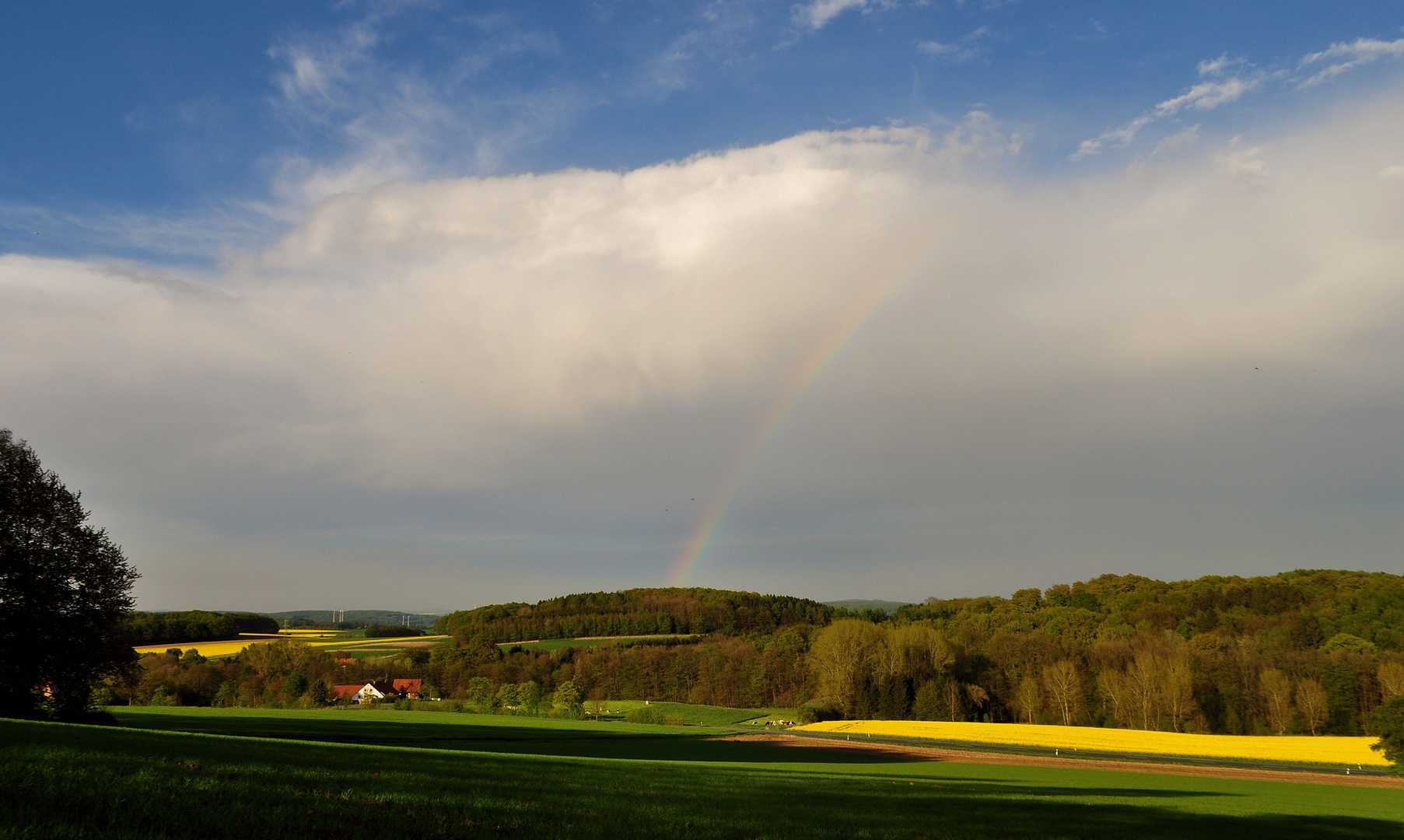 Nach dem Regen