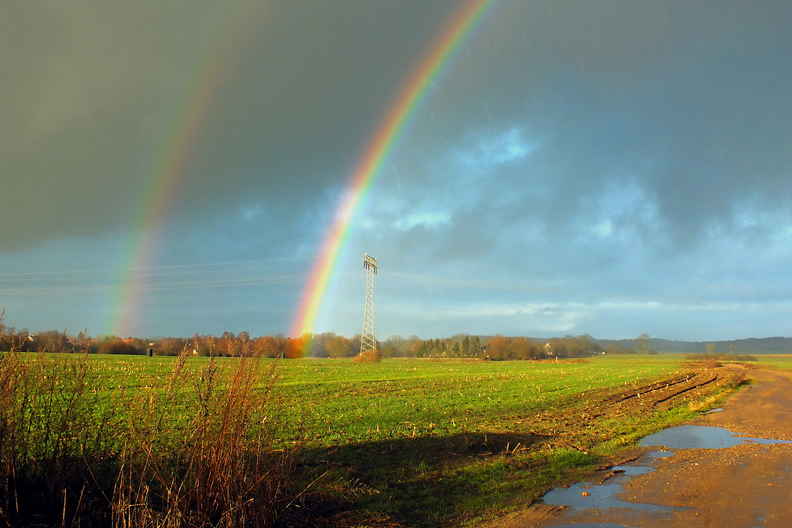 nach dem Regen