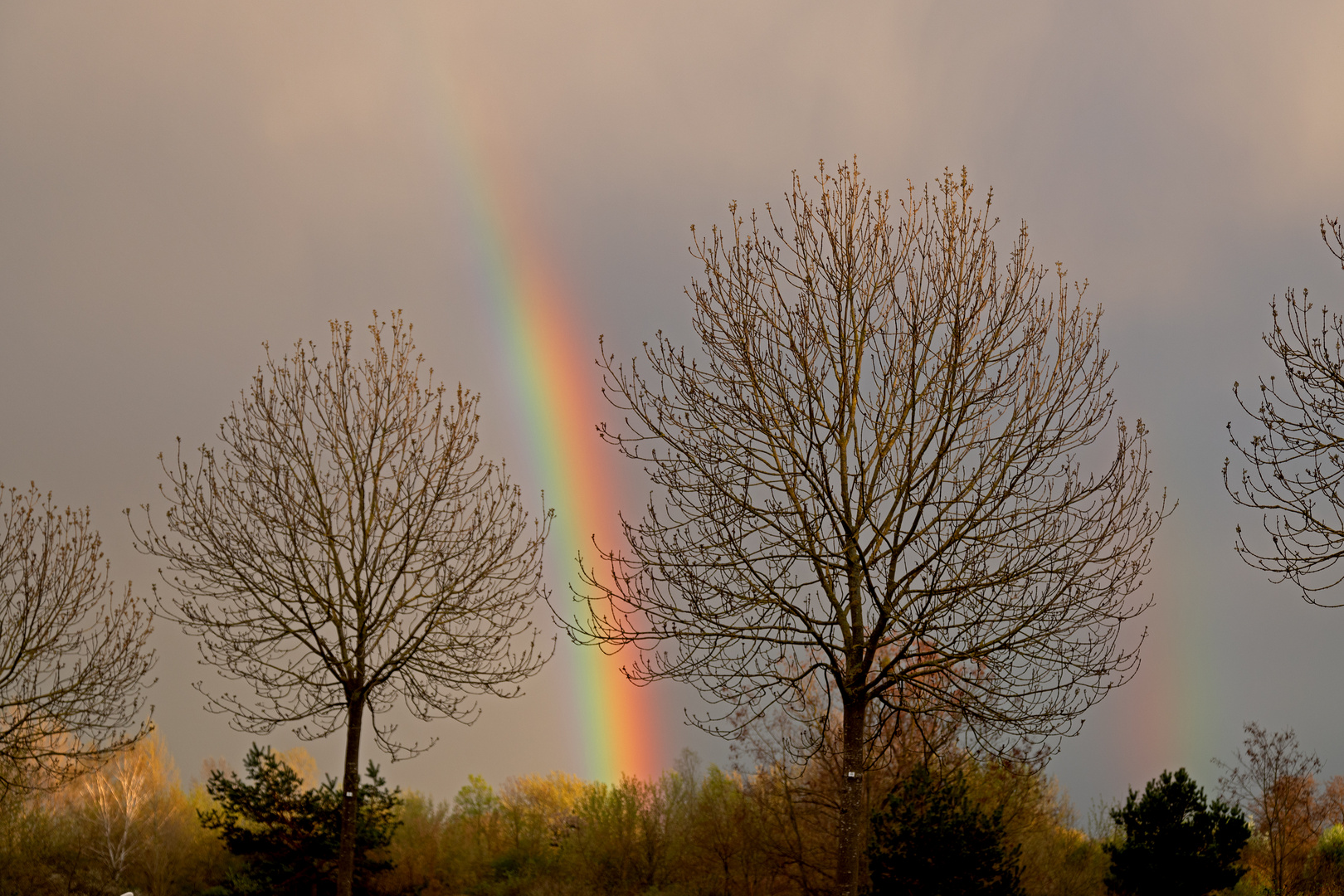 Nach dem Regen