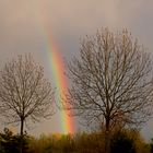 Nach dem Regen