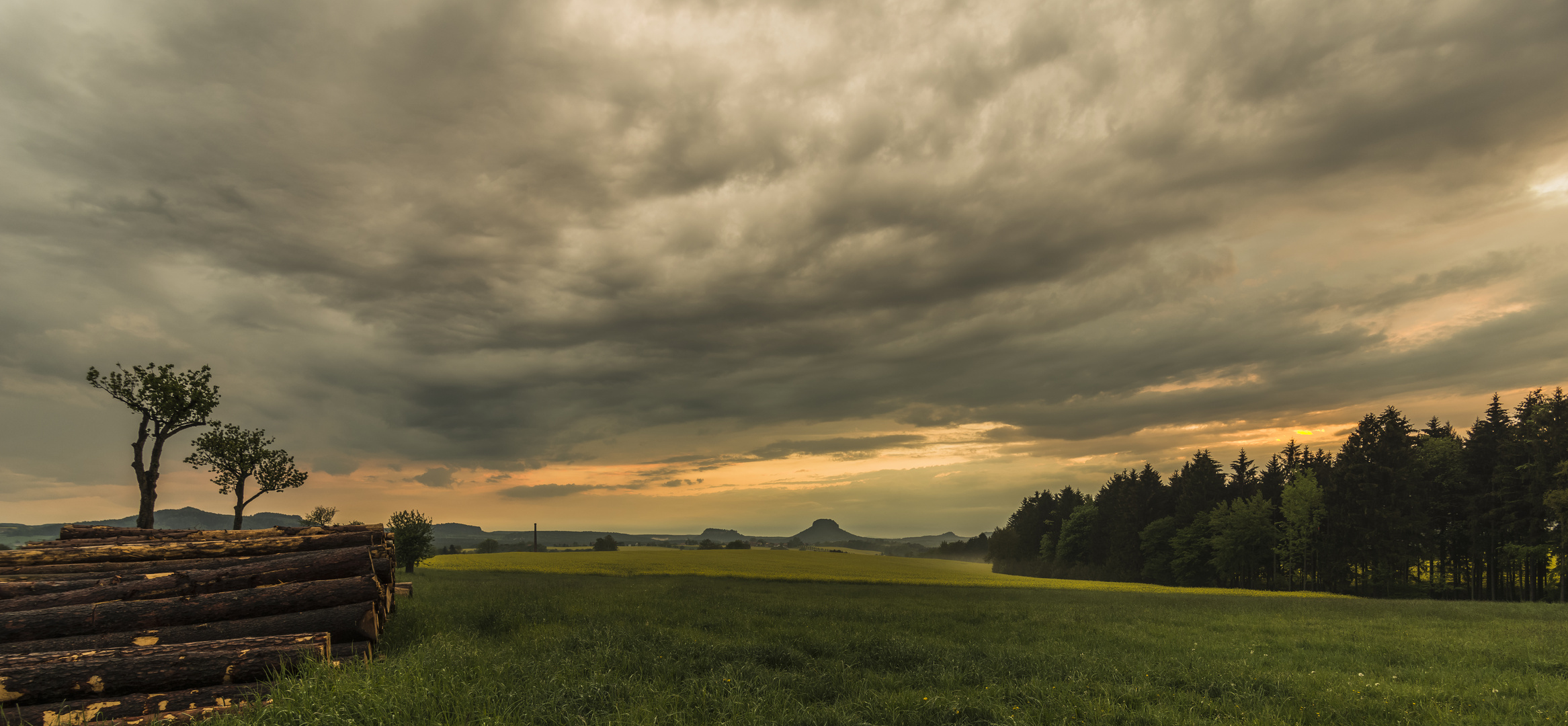 ***      nach dem regen     ***