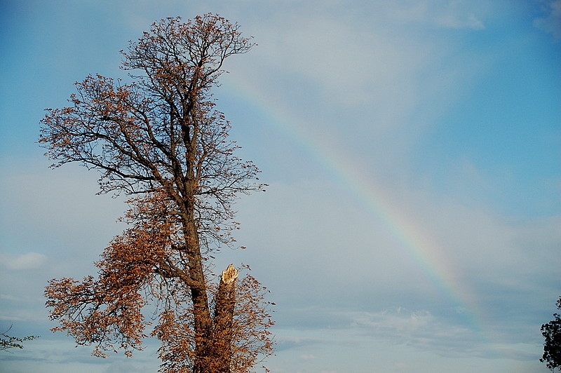 ...nach dem Regen...