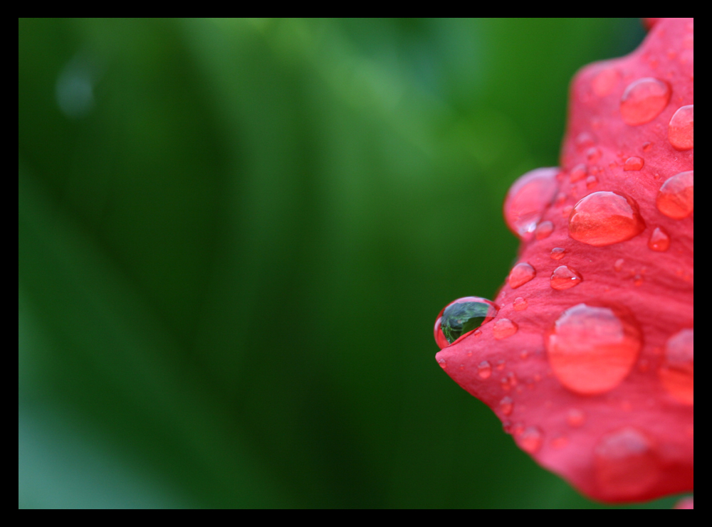 Nach dem Regen