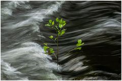 Nach dem Regen