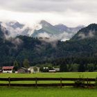 Nach dem Regen