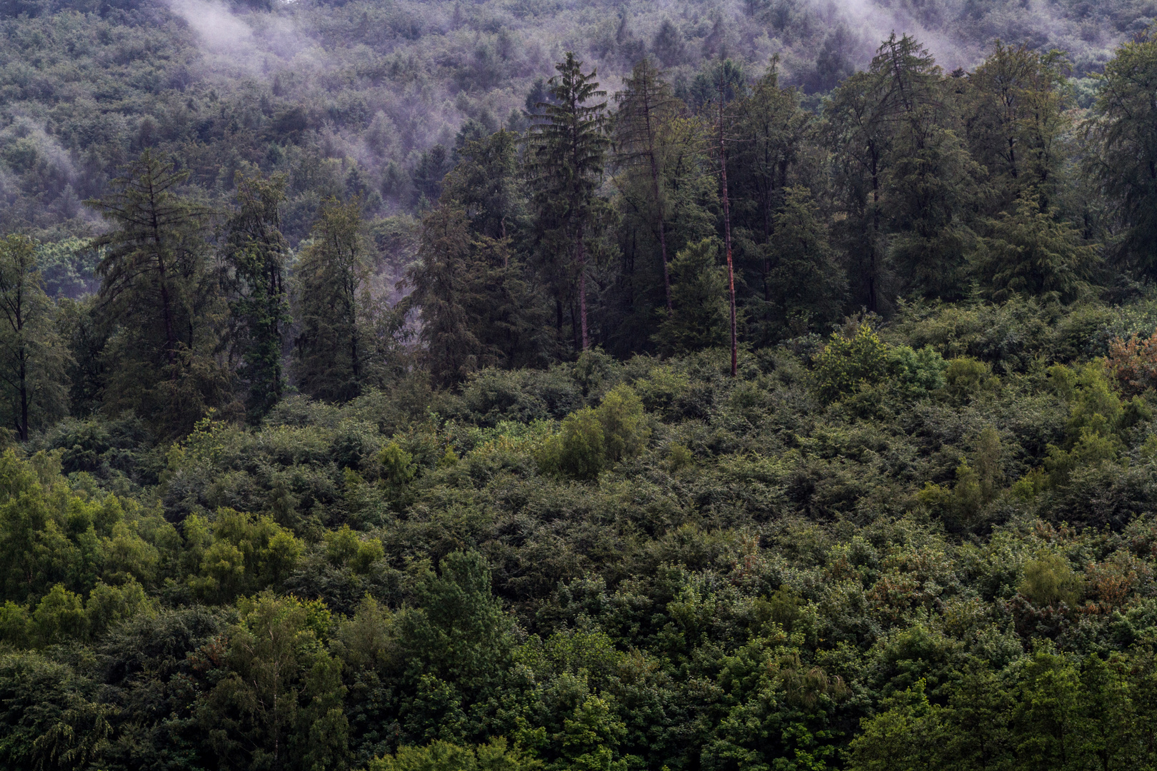 Nach dem Regen