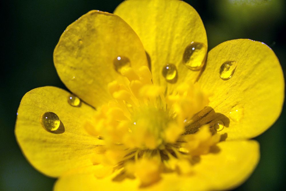 Nach dem Regen