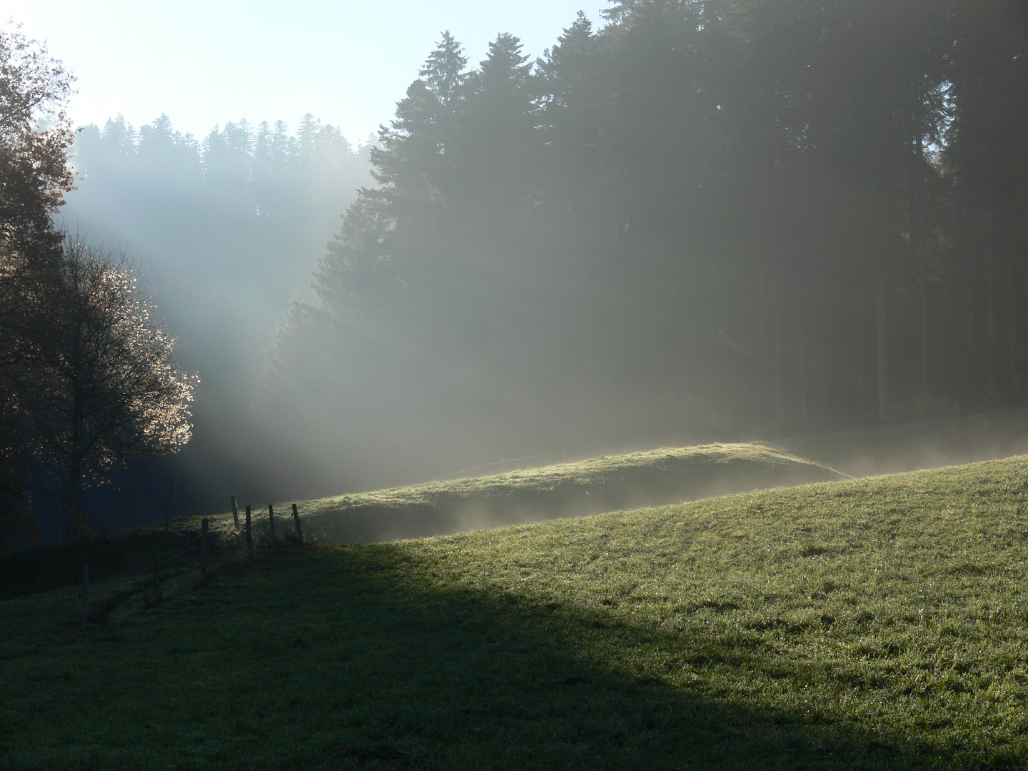 nach dem Regen