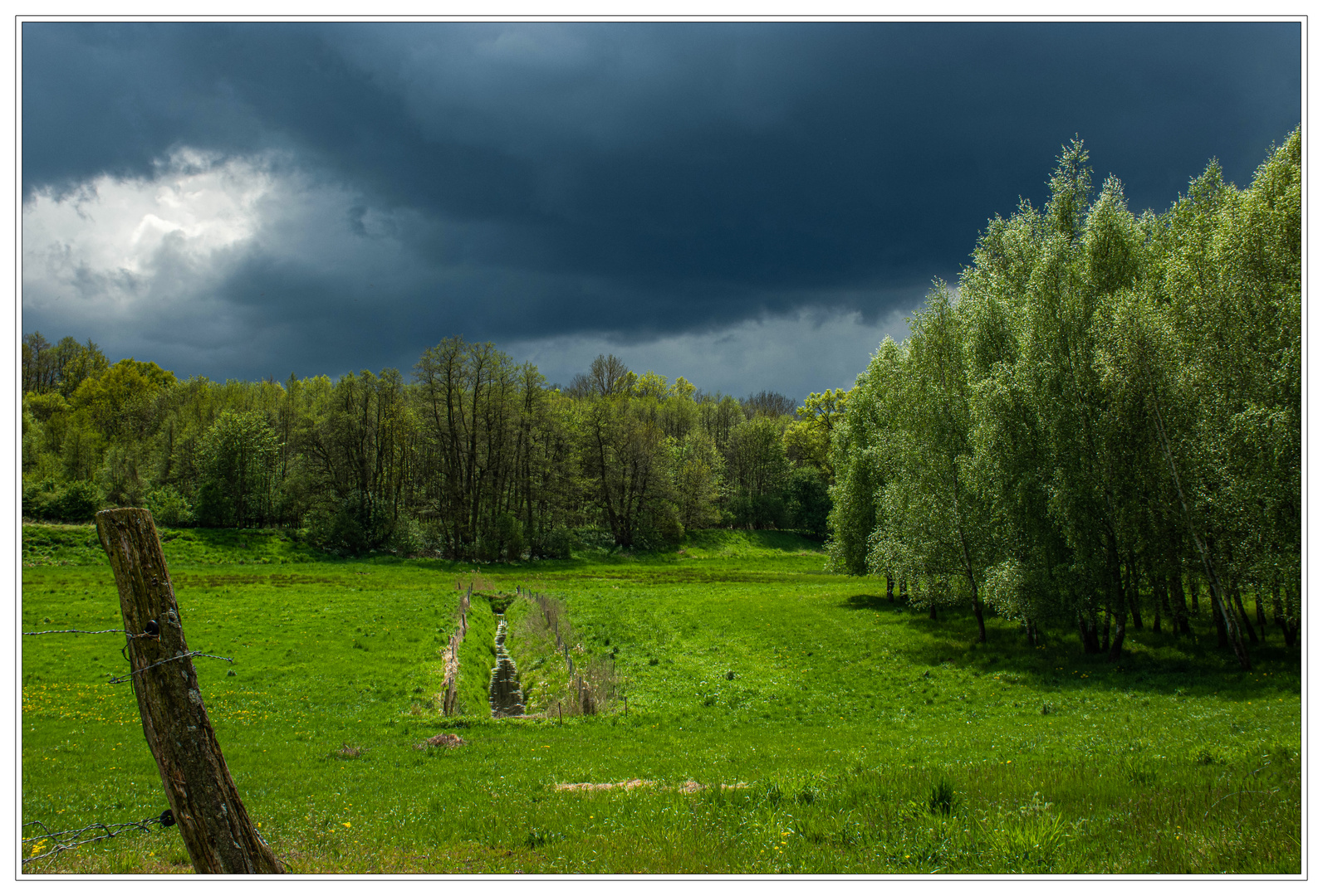 Nach dem Regen