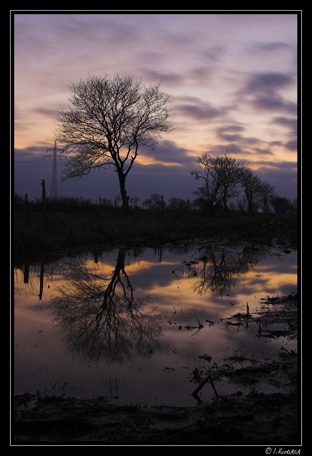 Nach dem Regen...