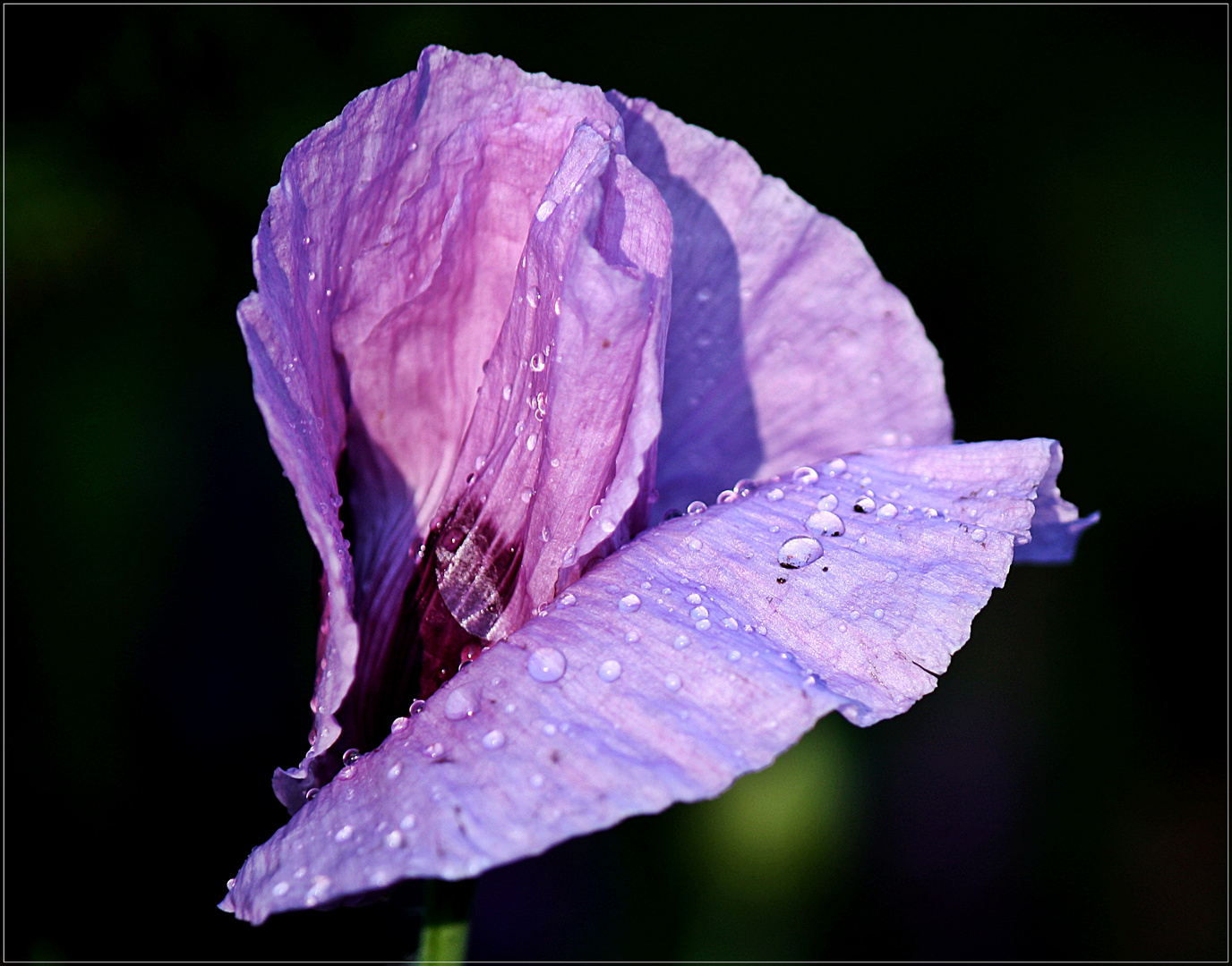 ... nach dem Regen