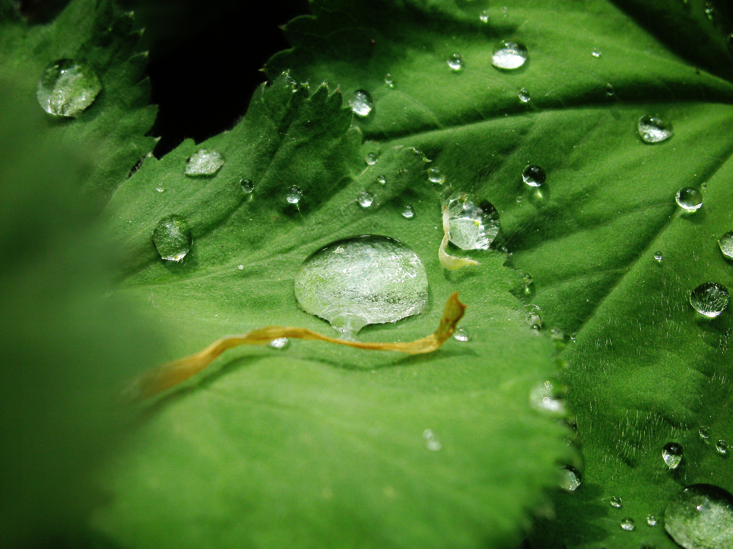 Nach dem Regen