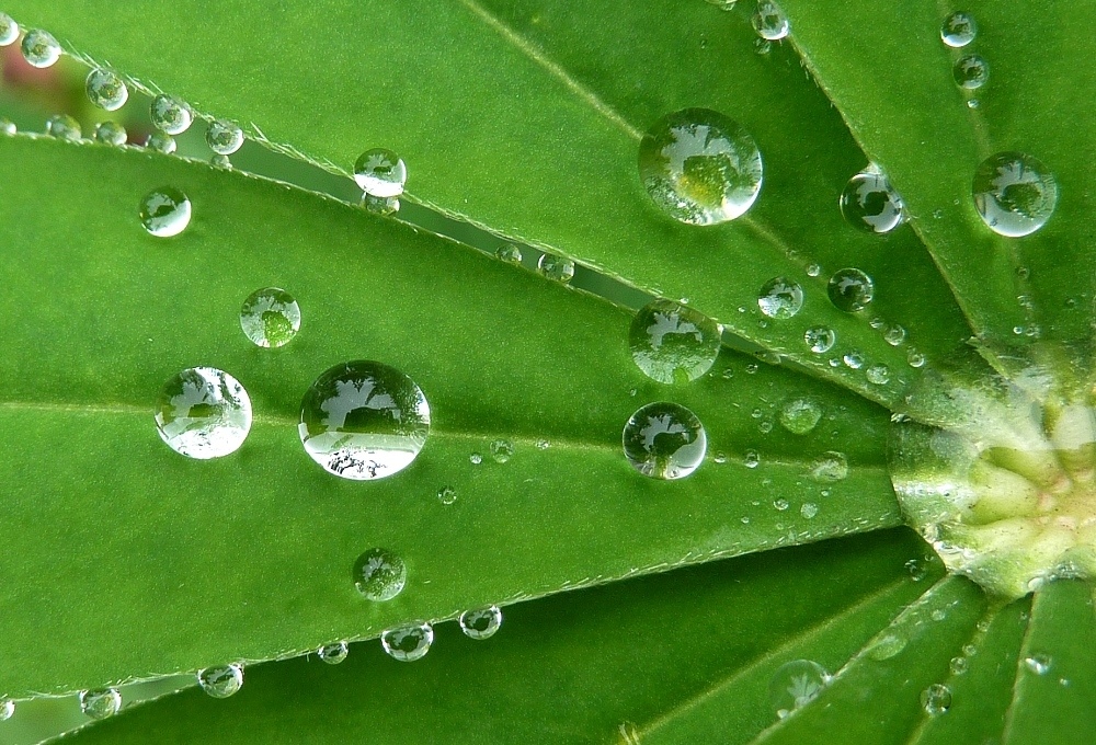 nach dem Regen