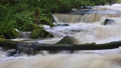 nach dem Regen