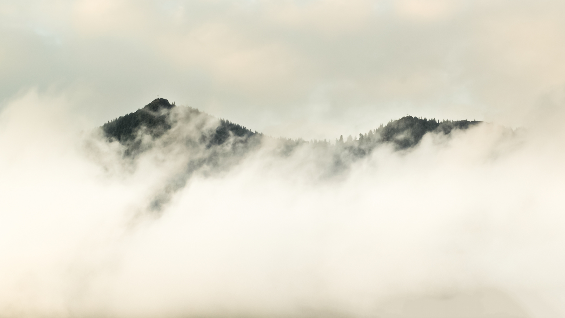 nach dem Regen