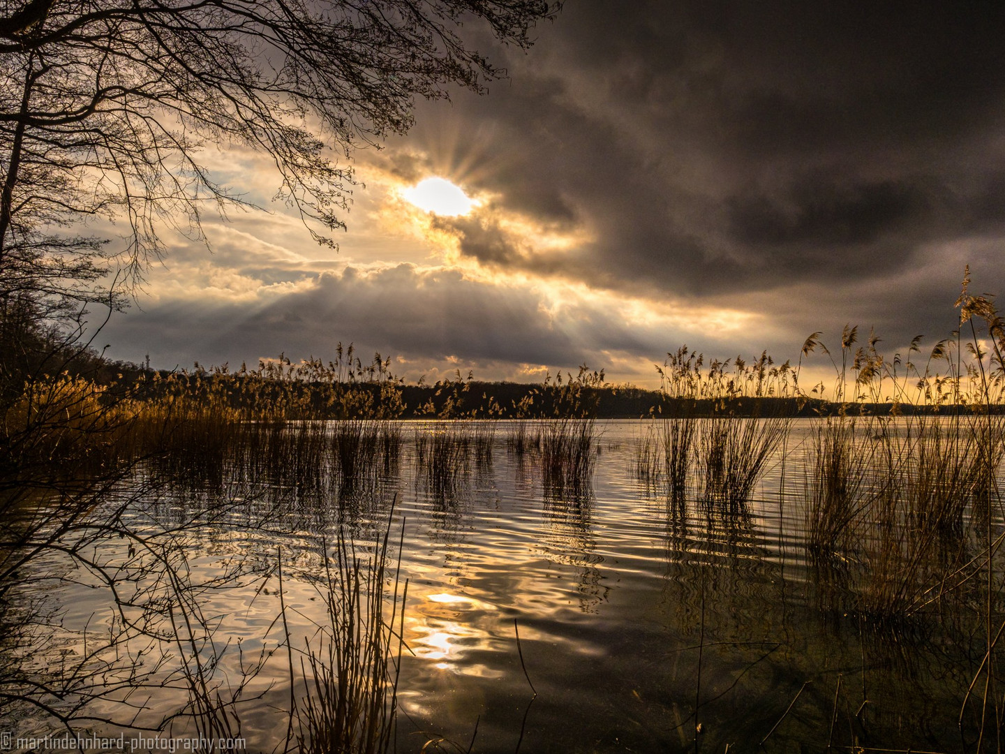 Nach dem Regen