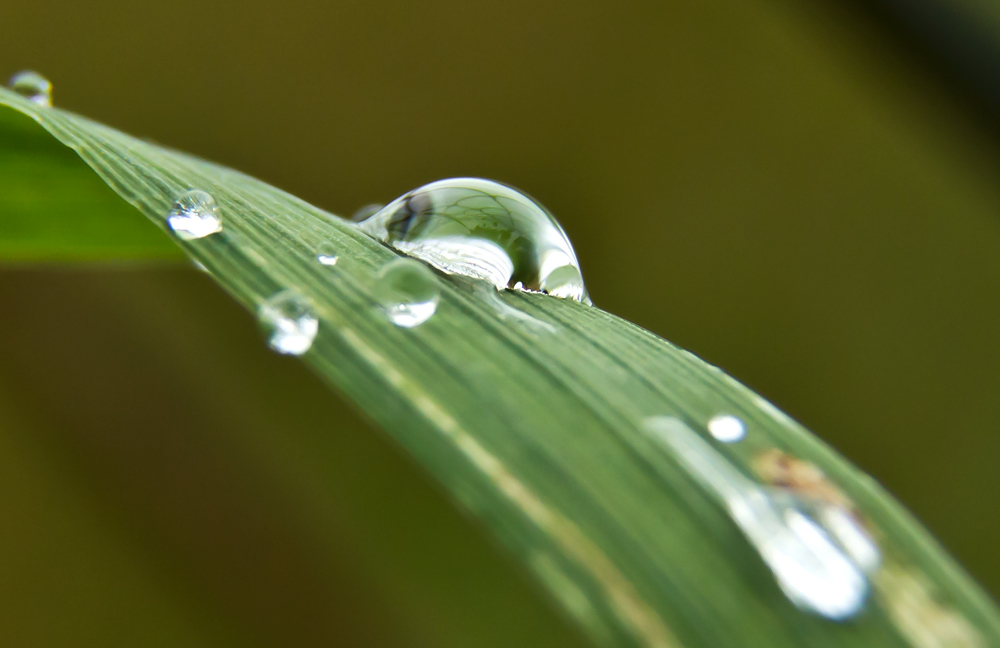 Nach dem Regen 2