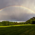 Nach dem Regen #2