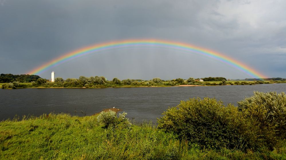 nach dem REGEN -2-