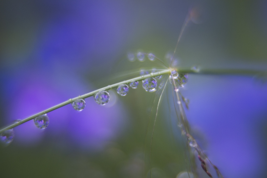 nach dem Regen #2