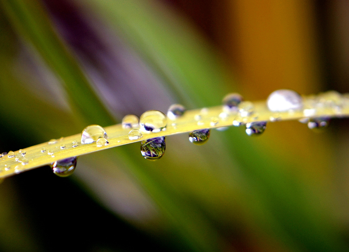 Nach dem Regen 2