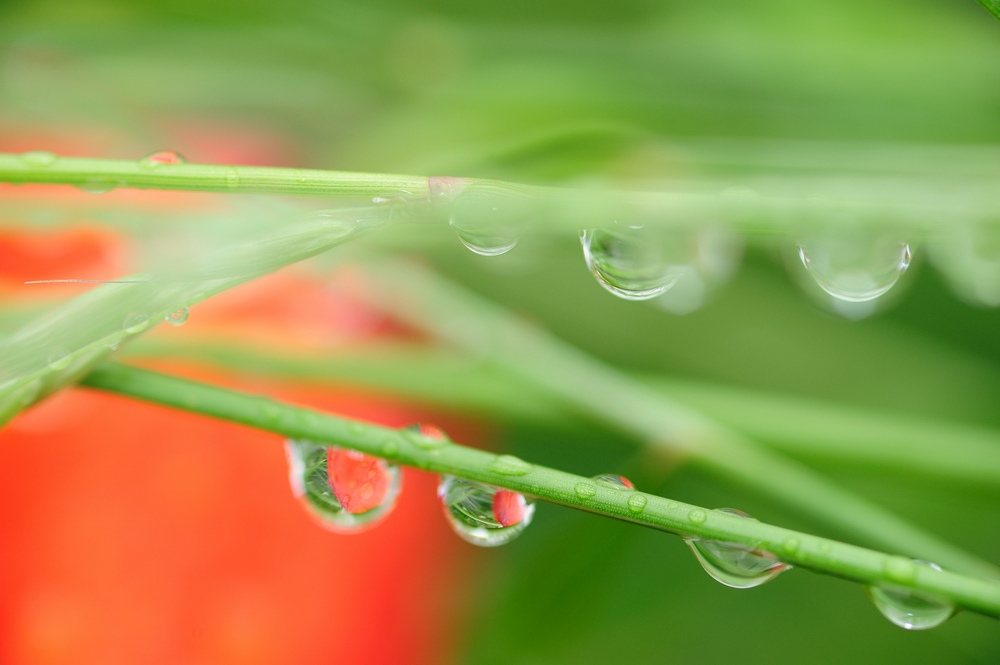 Nach dem Regen - 2