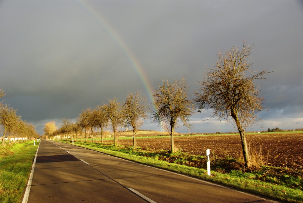 nach dem Regen