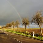 nach dem Regen