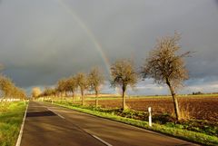 nach dem Regen