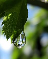 Nach dem Regen