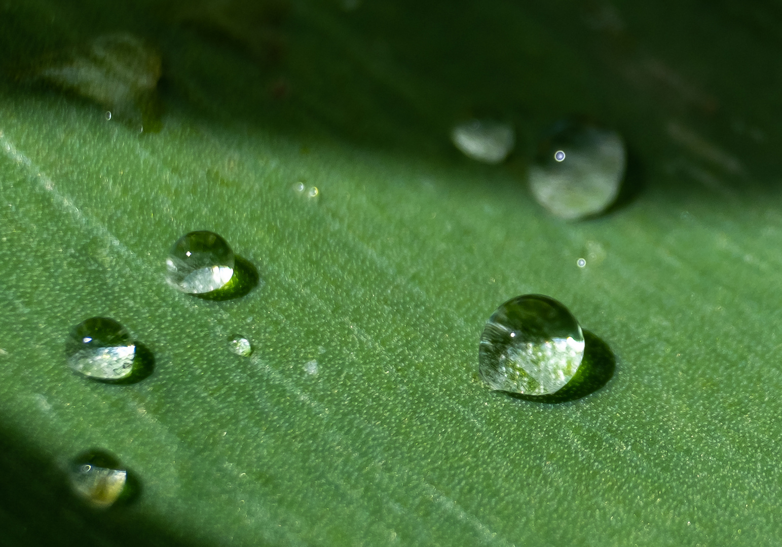 Nach dem Regen