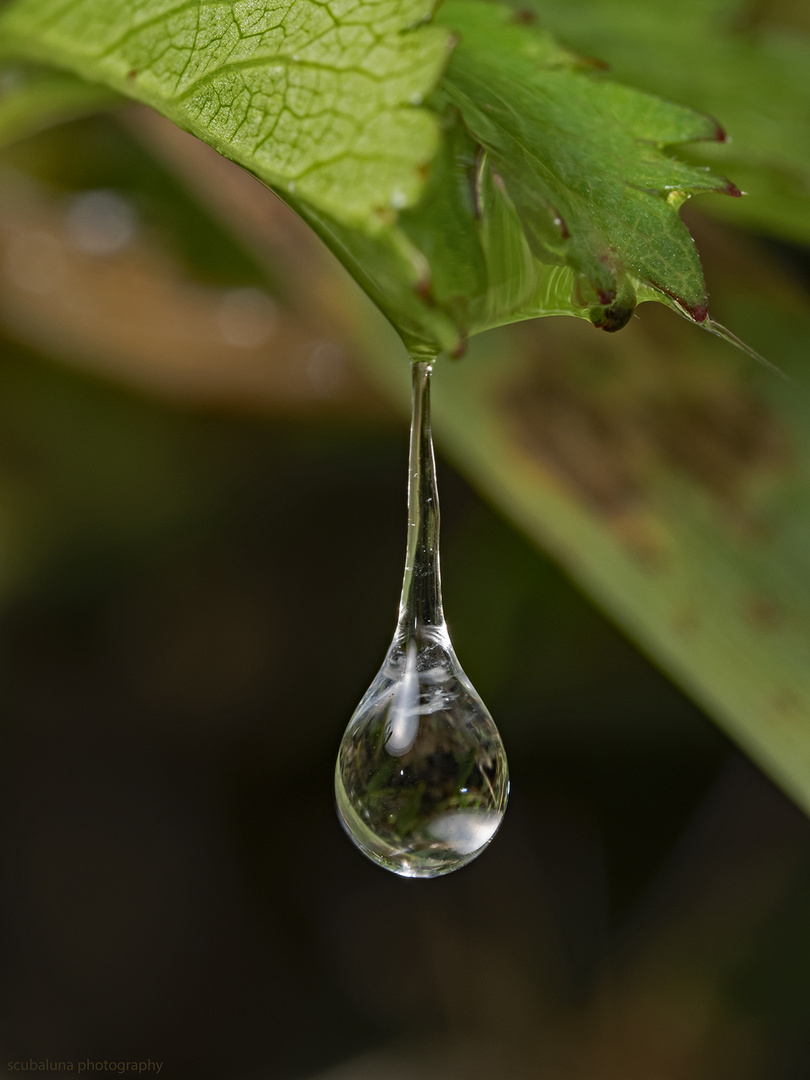 nach dem Regen